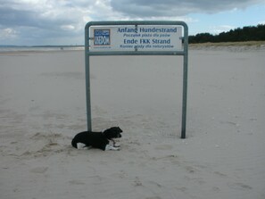 Playa en los alrededores 