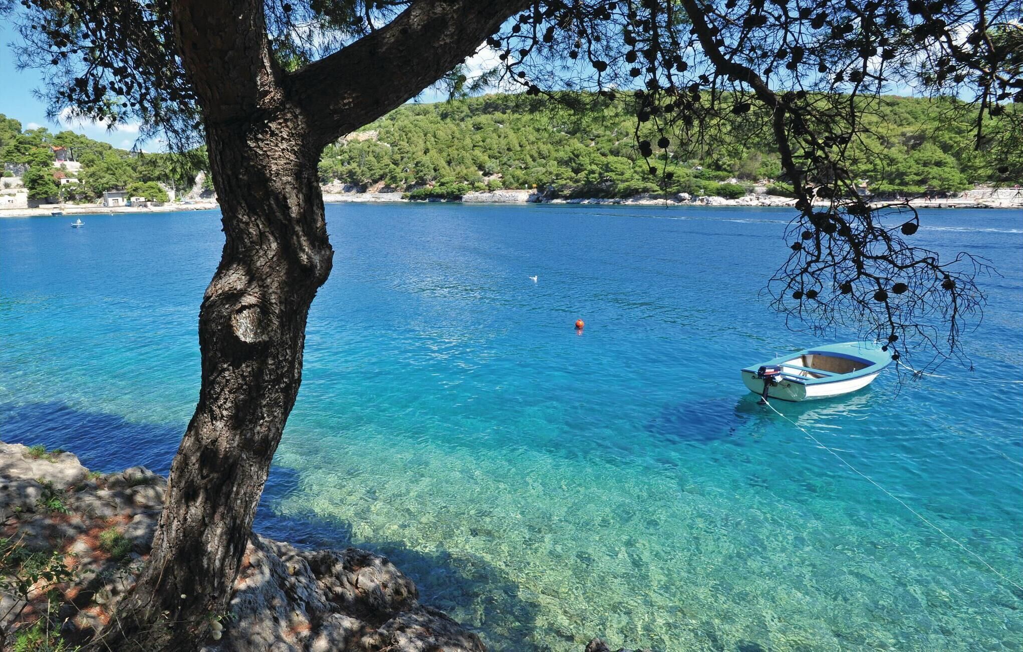 Une mer d’un bleu profond, avec un bateau ancré près d’un arbre.