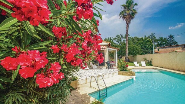 A swimming pool with a sun lounger and a small table, surrounded by lush greenery and a palm tree. - Amazing home in Milhaud with WiFi (Milhaud)