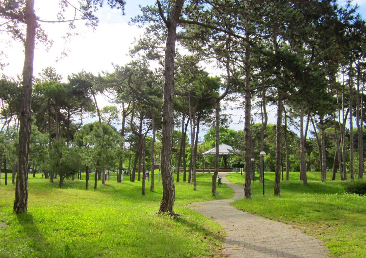 Parco della struttura