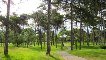 Parco della struttura