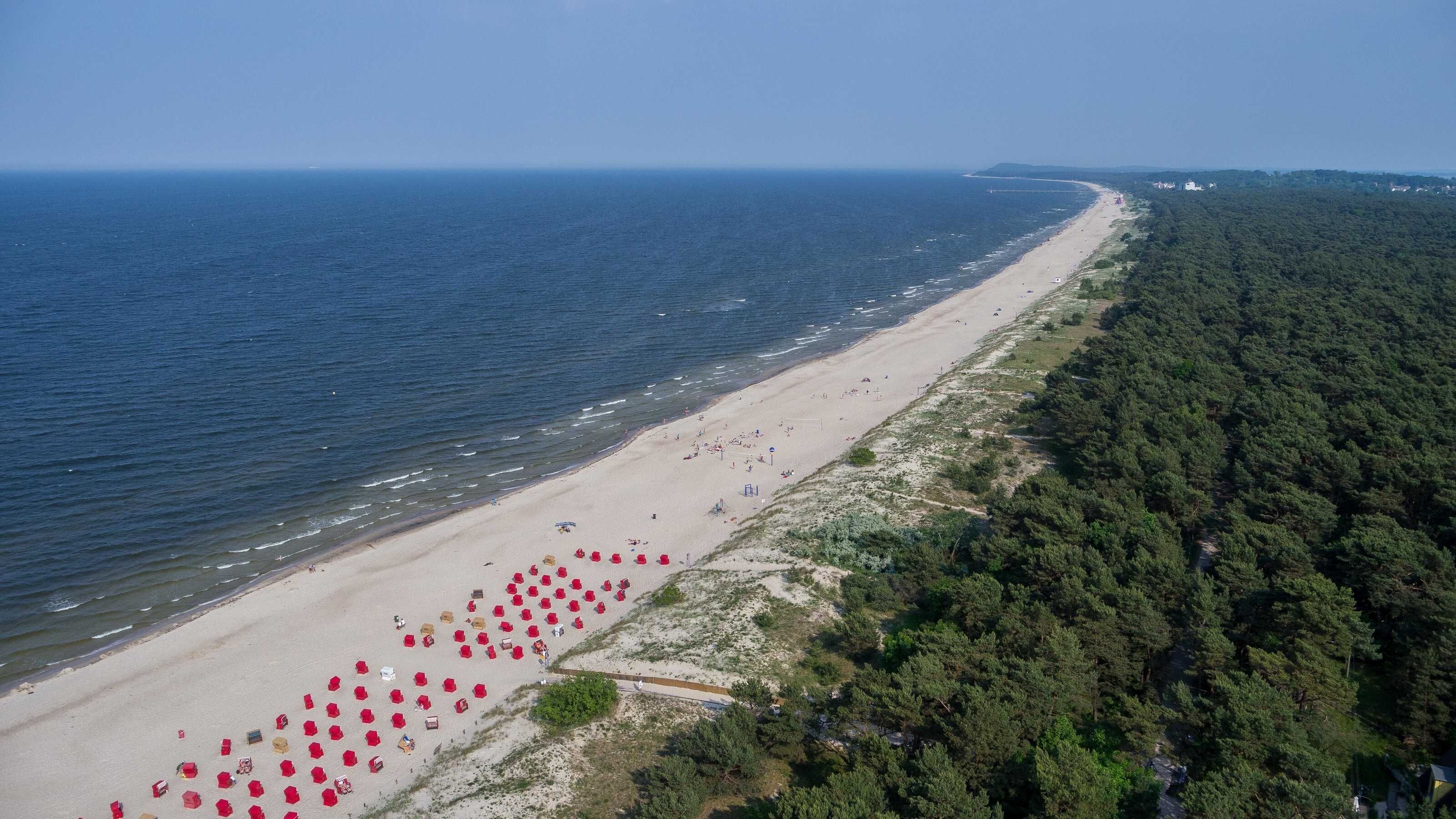 An aerial view of a beach with a long stretch of sand, a forested area, and the sea.