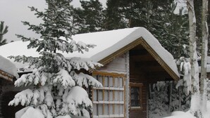 Eine schneebedeckte Lodge mit Holzfassade, einem sichtbaren Fenster und einem schneebedeckten Baum im Vordergrund.