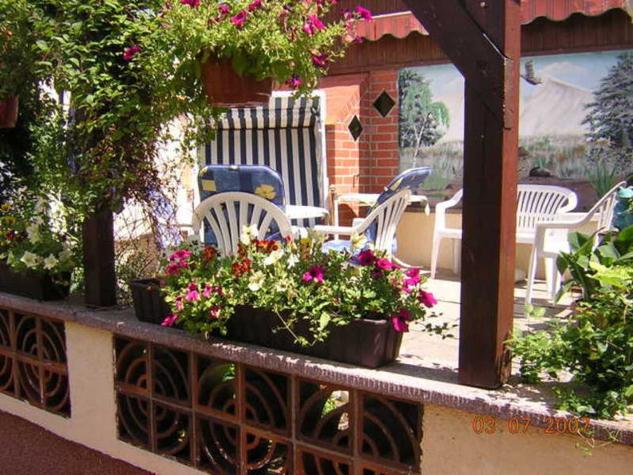 Terraza o patio