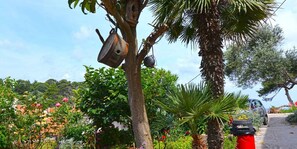 Property grounds - Holiday apartment with balcony (Veli Lošinj)