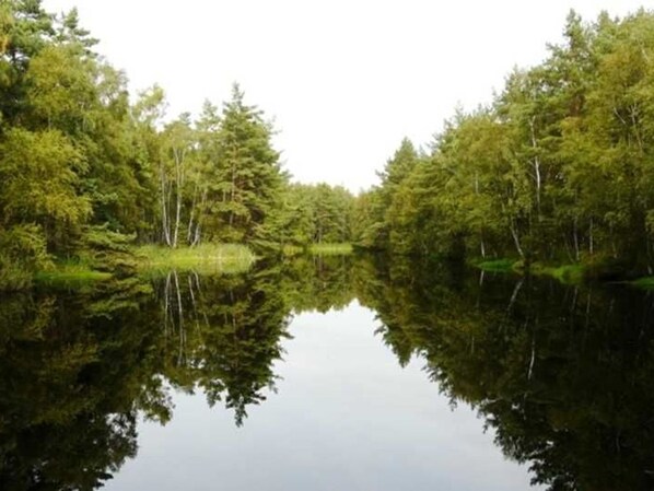 Unclassified image, 1 of 15, button