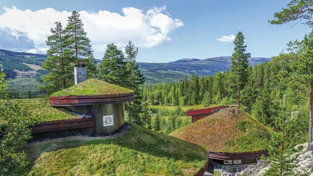 Een huis met een groen dak, omringd door bos, met uitzicht op bergen.