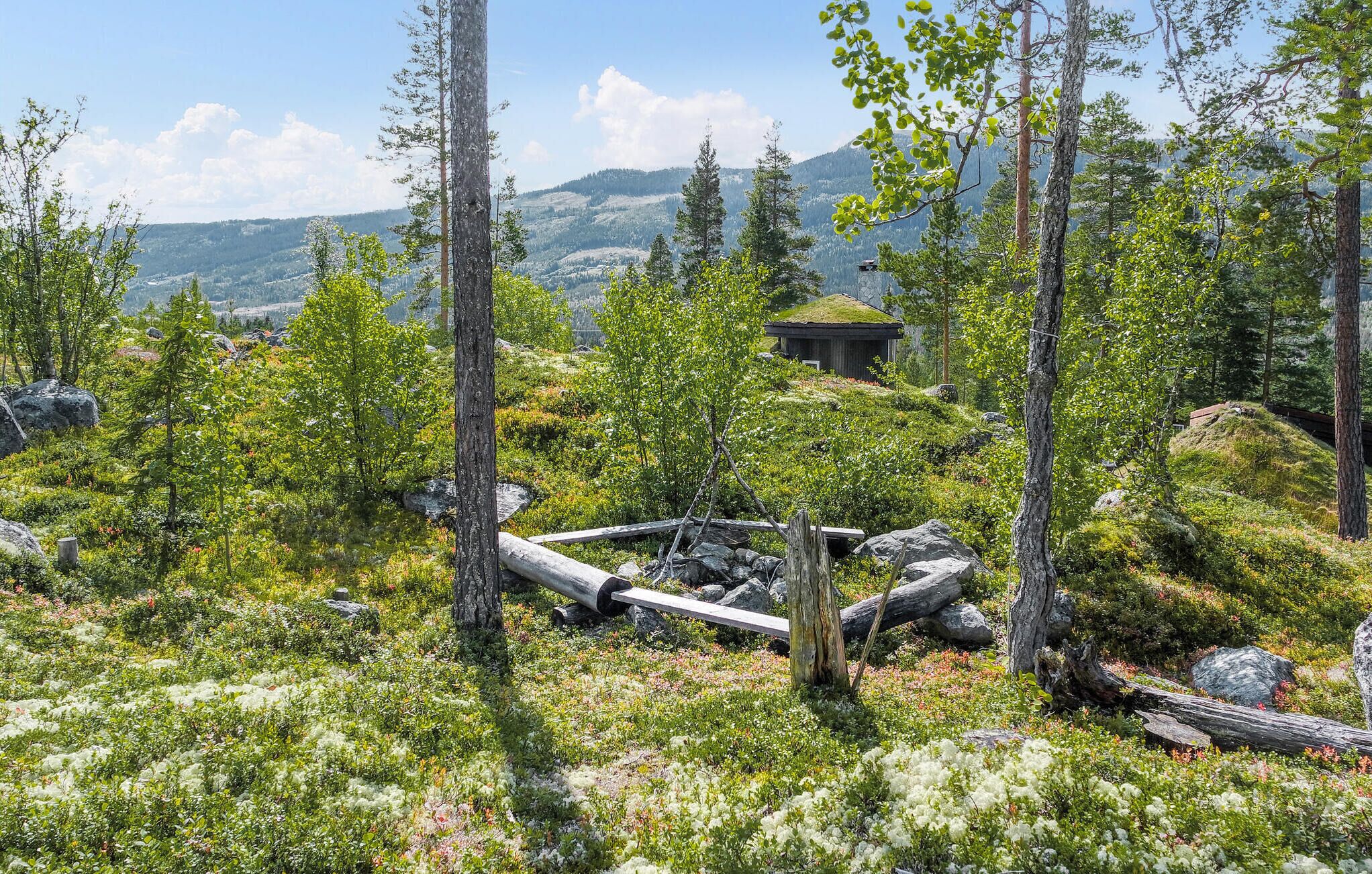 A mountainous landscape with a cabin surrounded by trees and rocky terrain.