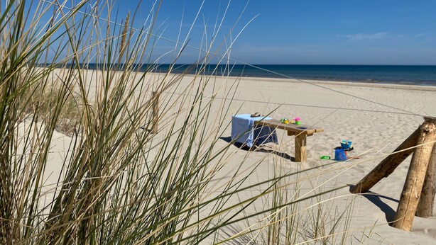 Escena de playa con una mesa y sillas, una estructura de madera y hierba alta.