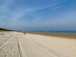 Playa en los alrededores 