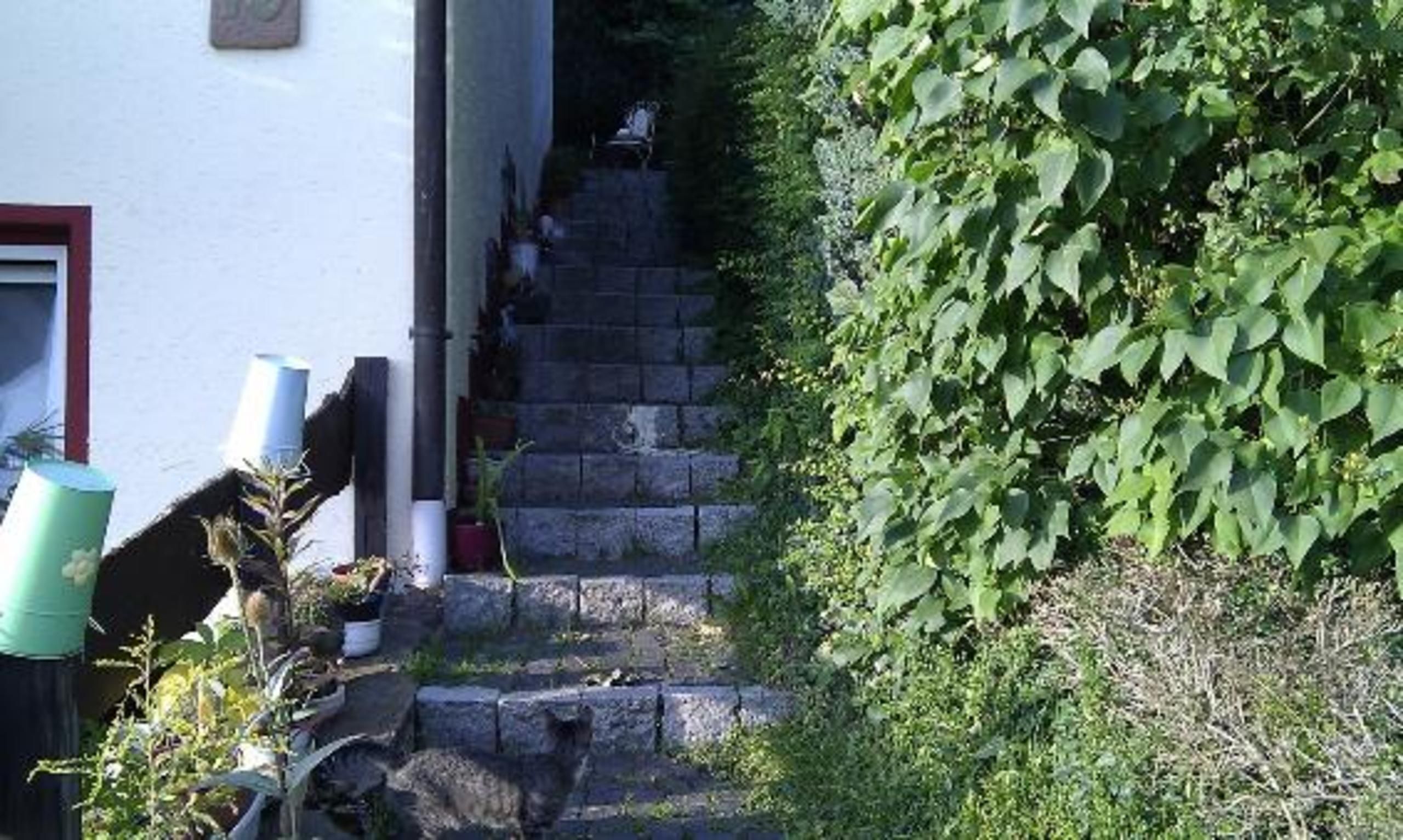 A stone staircase leading up to a white building with a red door. There are potted plants and a green trash bin at the base.