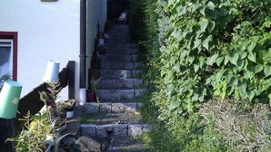 A stone staircase leading up to a white building with a red door. There are potted plants and a green trash bin at the base. - Vacation apartment 3 for 4 persons - Ferienwohnungen Willrich (Blankenheim)