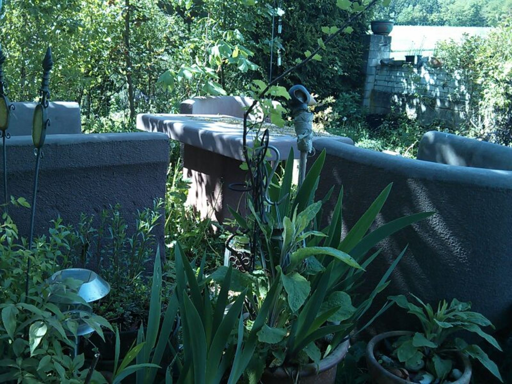 A rooftop garden with potted plants, a metal chair, and a stone wall.