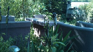 A rooftop garden with potted plants, a metal chair, and a stone wall. - Vacation apartment 3 for 4 persons - Ferienwohnungen Willrich (Blankenheim)