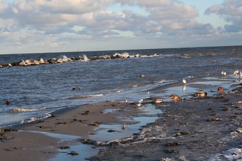 An der Schmiedestraße Strandläufer - Ferienwohnung Strandläufer