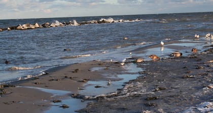 An der SchmiedestraĂe StrandlĂ€ufer - Ferienwohnung StrandlĂ€ufer