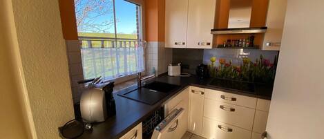 Fridge, dishwasher, coffee/tea maker, electric kettle