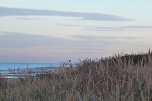 Nicht klassifiziertes Bild, 3 von 56, Schaltfläche