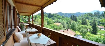 Cyclamen (Category A) - Gästehaus Sonnenbichl