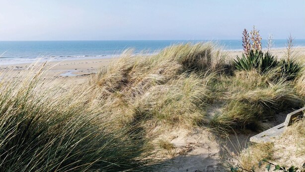 Una playa con dunas de arena y vegetación escasa.