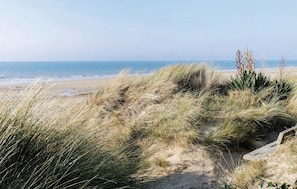 Ein Strand mit Dünen und vereinzelter Vegetation.