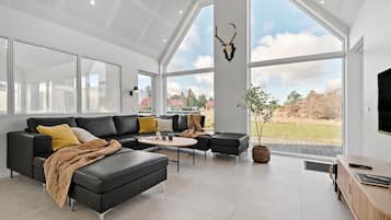 TV, DVD player, table tennis