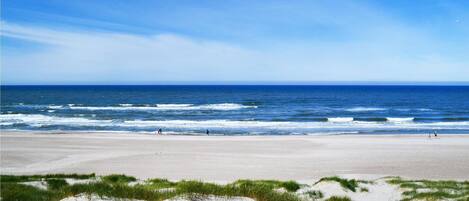 Beach nearby, fishing