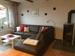 Televisión, chimenea y videojuegos 