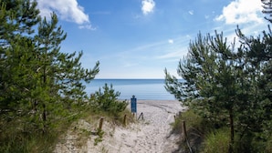 A sandy beach path leading to the sea, surrounded by pine trees. - Amazing apartment in Binz with WiFi (Prora/Rügen)