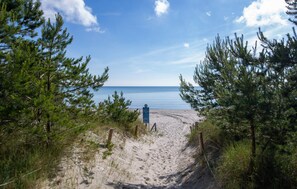 A sandy beach path leading to the ocean, surrounded by pine trees.