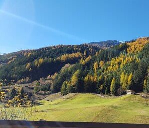 Oklassificerad bild, 3 av 34, knapp