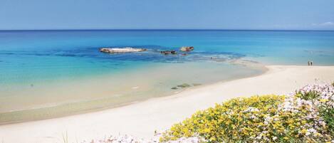 Playa en los alrededores