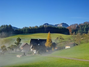 Esterni