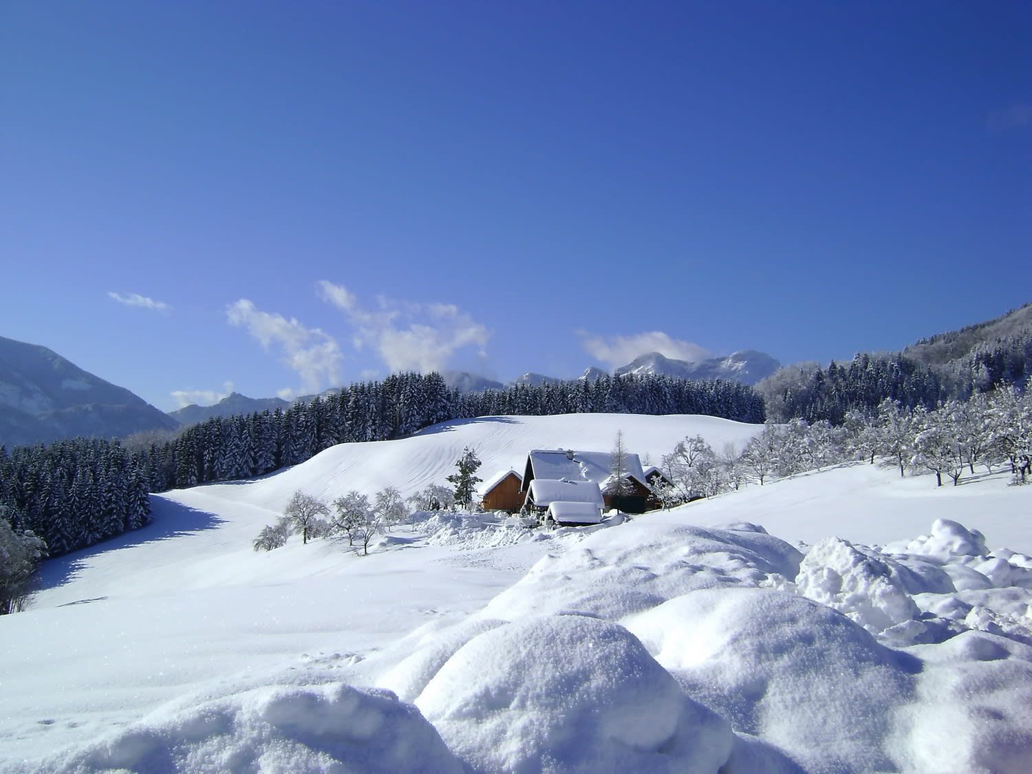 Schneelandschaft mit einer Holzhütte und Bäumen.