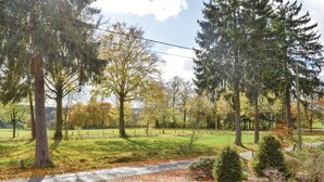 Um caminho por um parque com árvores e uma área gramada.