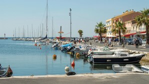 Un port de plaisance où sont amarrés différents types de bateaux, un ciel dégagé et des bâtiments bordés de palmiers.