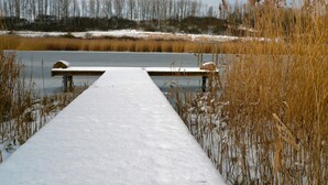 A concrete dock extending into a lake with overhanging reeds and leafless trees in the background.