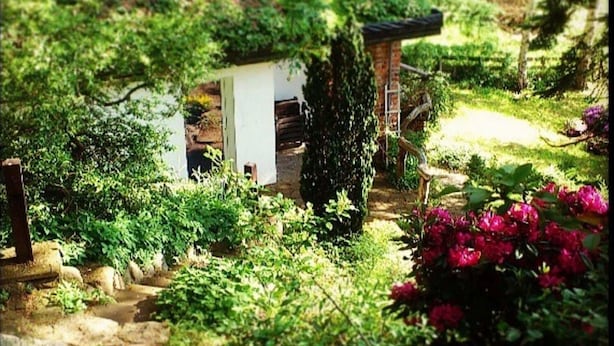 A garden with a small white building, a brick structure, and various plants.