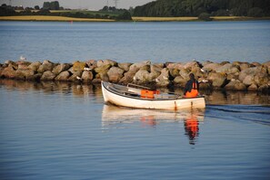 Unclassified image, 4 of 27, button