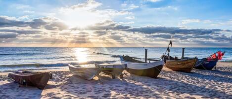 بالقرب من الشاطئ