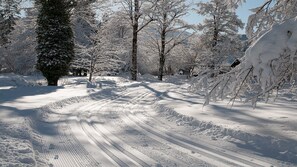 Miscellaneous - Double room - 1 - Gasthof Batznhäusl (Kreuth)