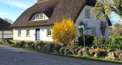 Haus Ketzenberg 1 Lütt Mööv - Apartment (1)