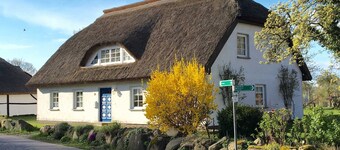 Haus Ketzenberg 1 Lütt Mööv - Apartment (1)