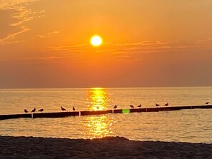 Imagen sin descripción, 3 de 58, botón