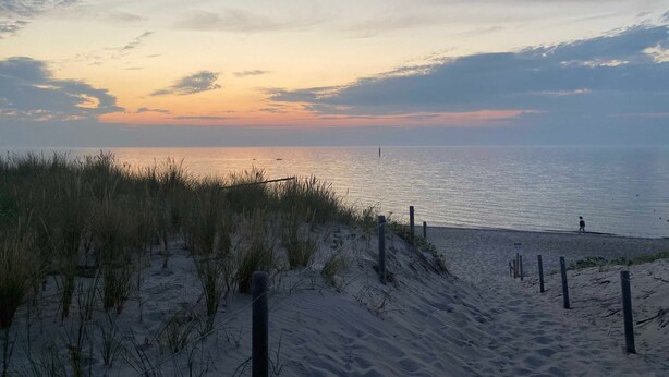 En strand med sanddyner och ett staket.