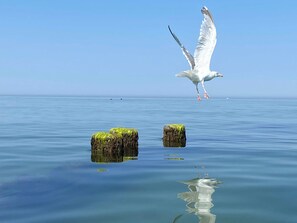 Imagen sin descripción, 2 de 58, botón