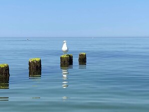 Imagen sin descripción, 4 de 58, botón