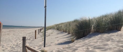 Une plage de sable avec des poteaux en bois et un poteau métallique, probablement utilisés pour la sécurité ou la navigation.