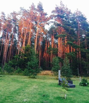 Imagen sin descripción, 5 de 58, botón