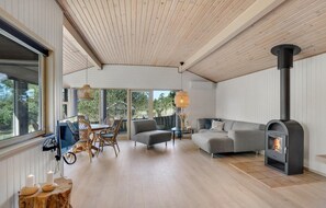 Télévision, cheminée